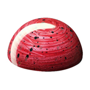 Cranberry & Yoghurt With Yoghurt Ganache In White Chocolate