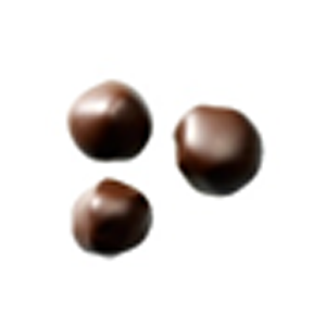 Enrobed In Dark Chocolate