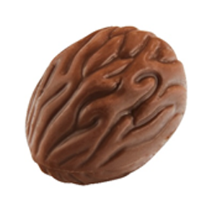 Milk Praline With Caramelised Nuts