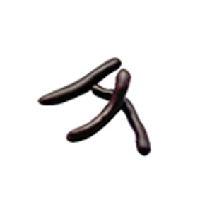 Orangettes Enrobed In Dark Chocolate