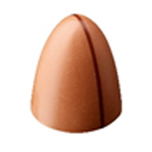 Salty Peanut - Peanut Caramel Sea Salt In Milk Chocolate