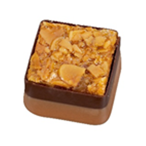 Hazelnut Praline With Florentine Top